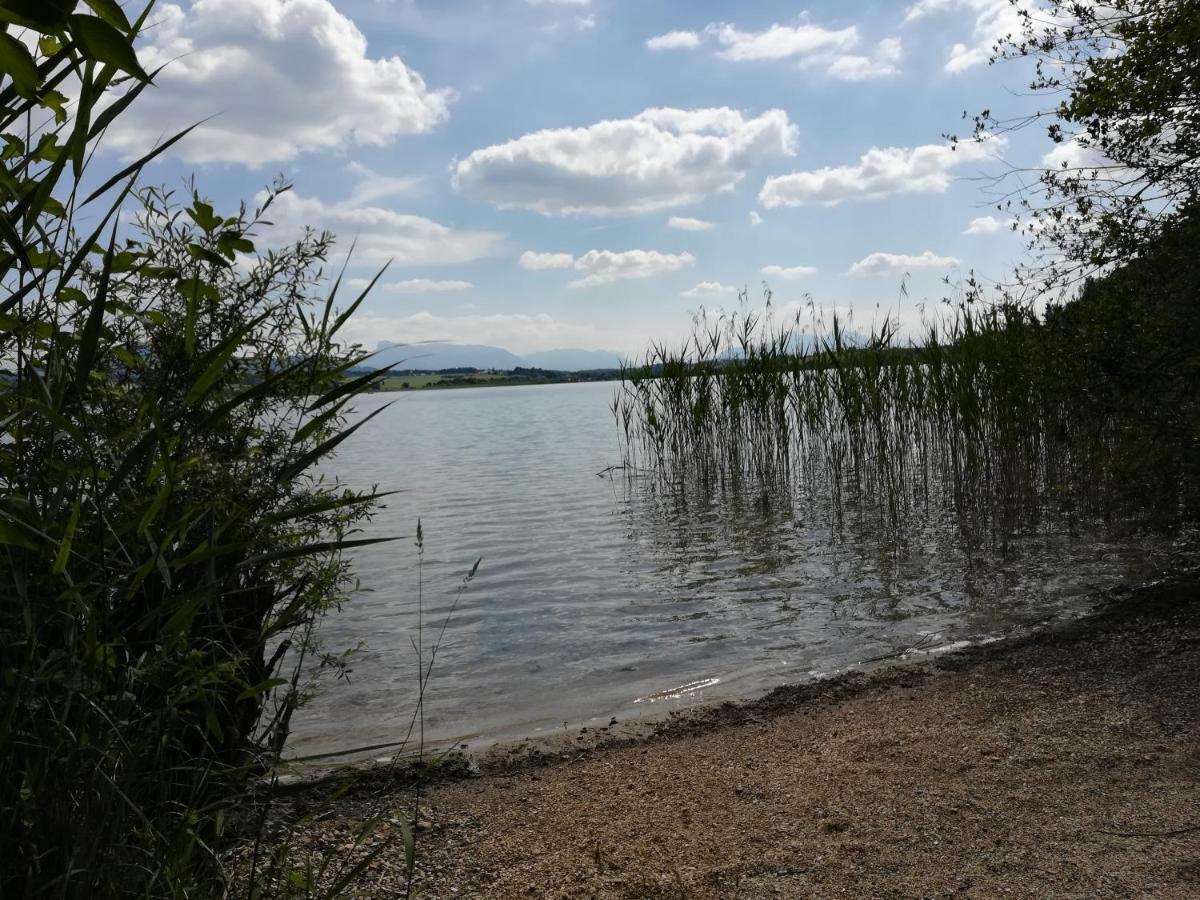 Am See 90 Seekirchen am Wallersee Buitenkant foto